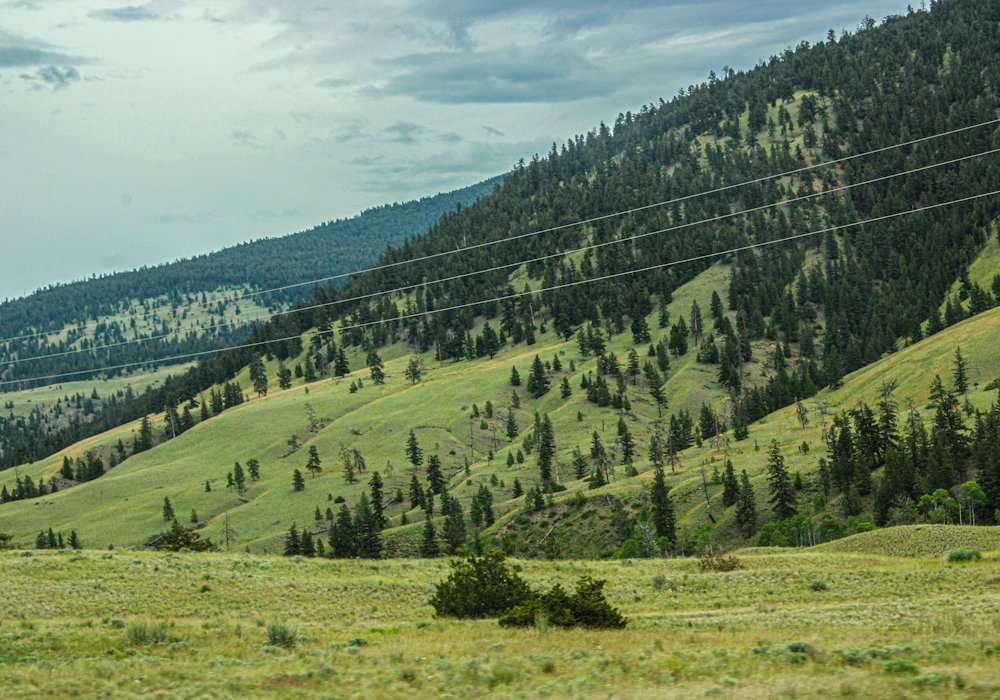 Rolling grassland with transmission lines and mountains beyond